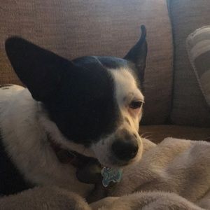 Meet your Posher, Emily